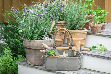 Stainless Steel Heavy Duty Garden Tools Set - NexZello