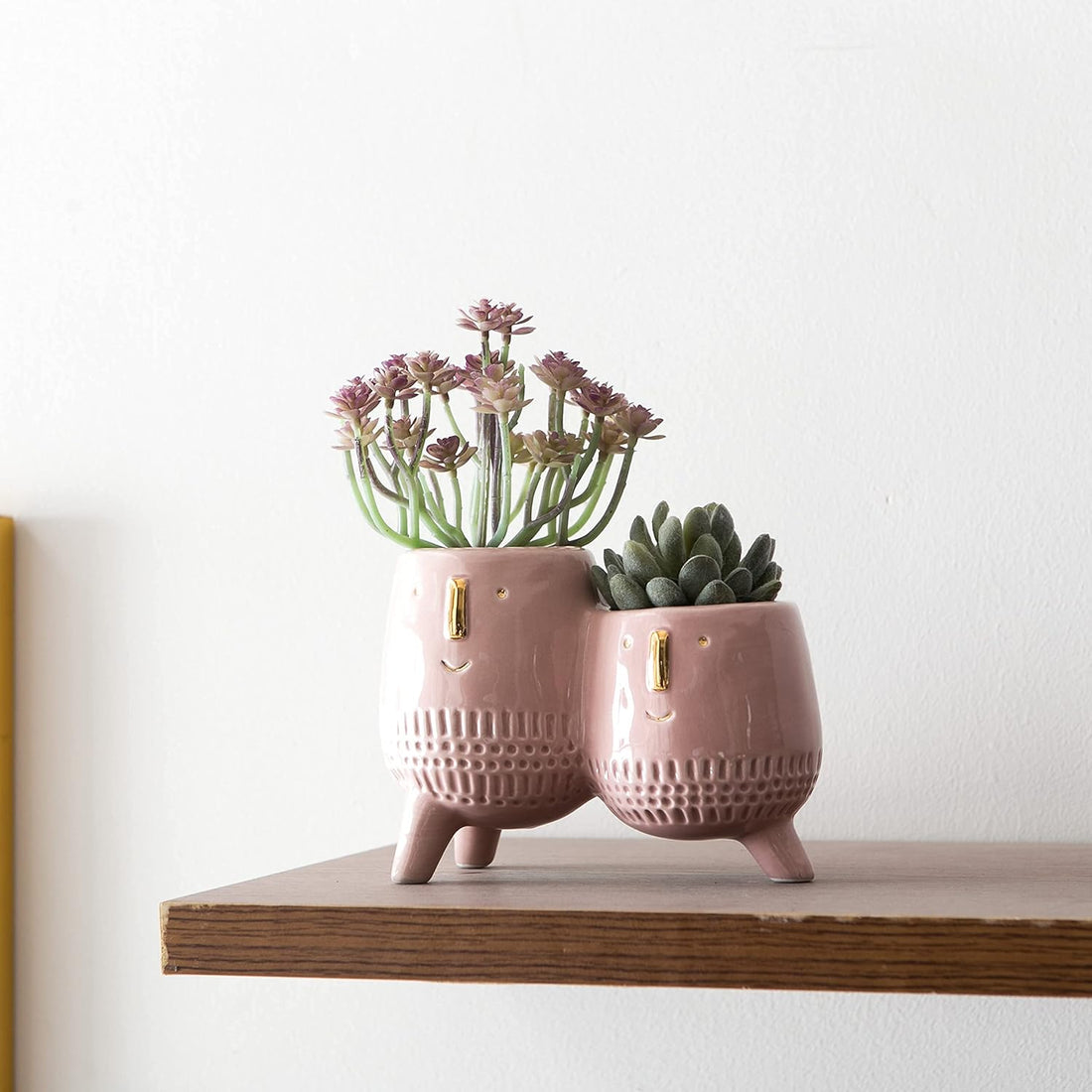 Ceramic Planter Pot 