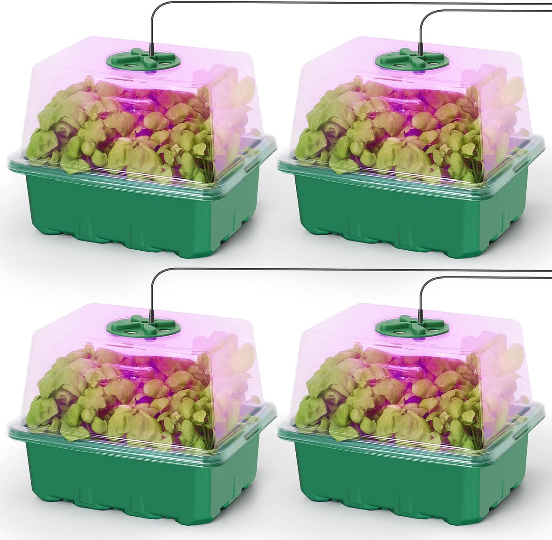 Seed Starter Kit with Grow Light