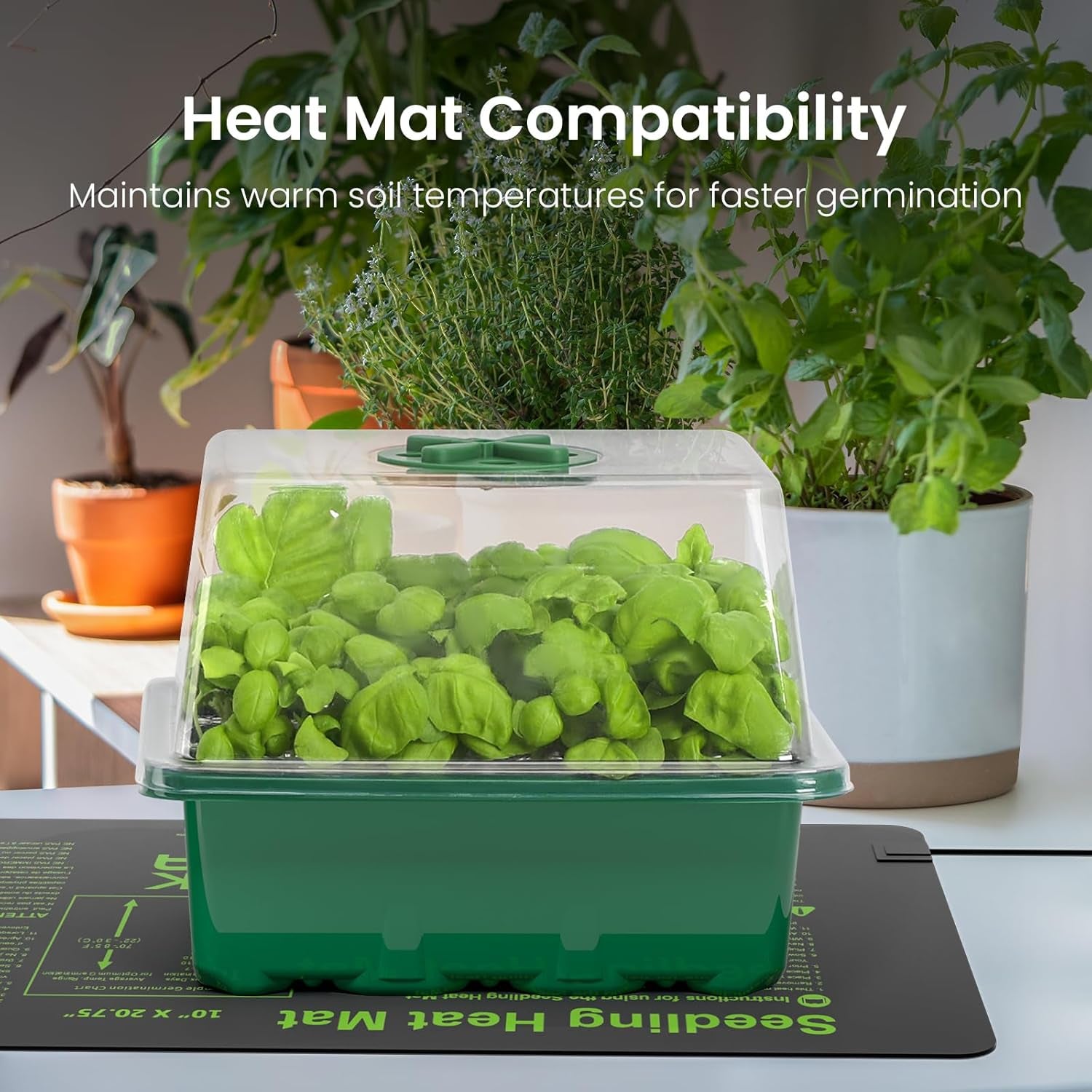 Seed Starter Kit with Grow Light