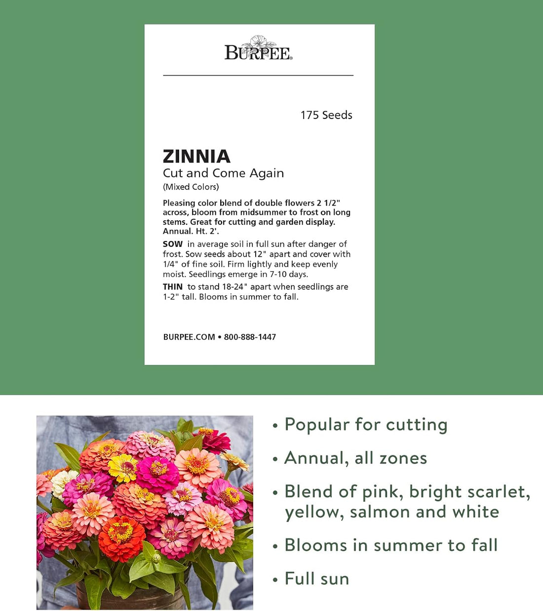 Cut & Come Again Zinnia Seeds