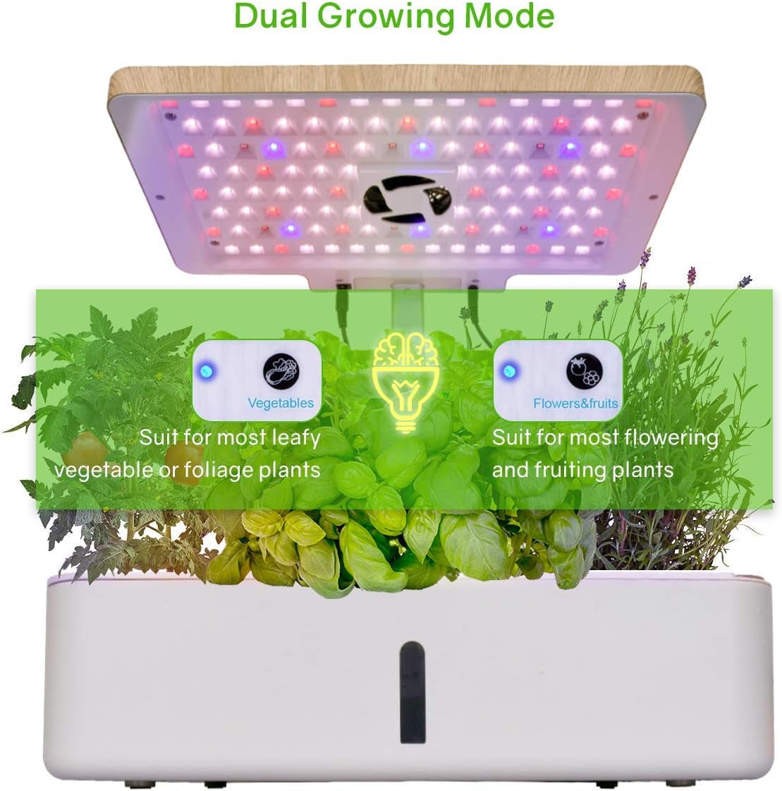 Hydroponics Growing System Kit