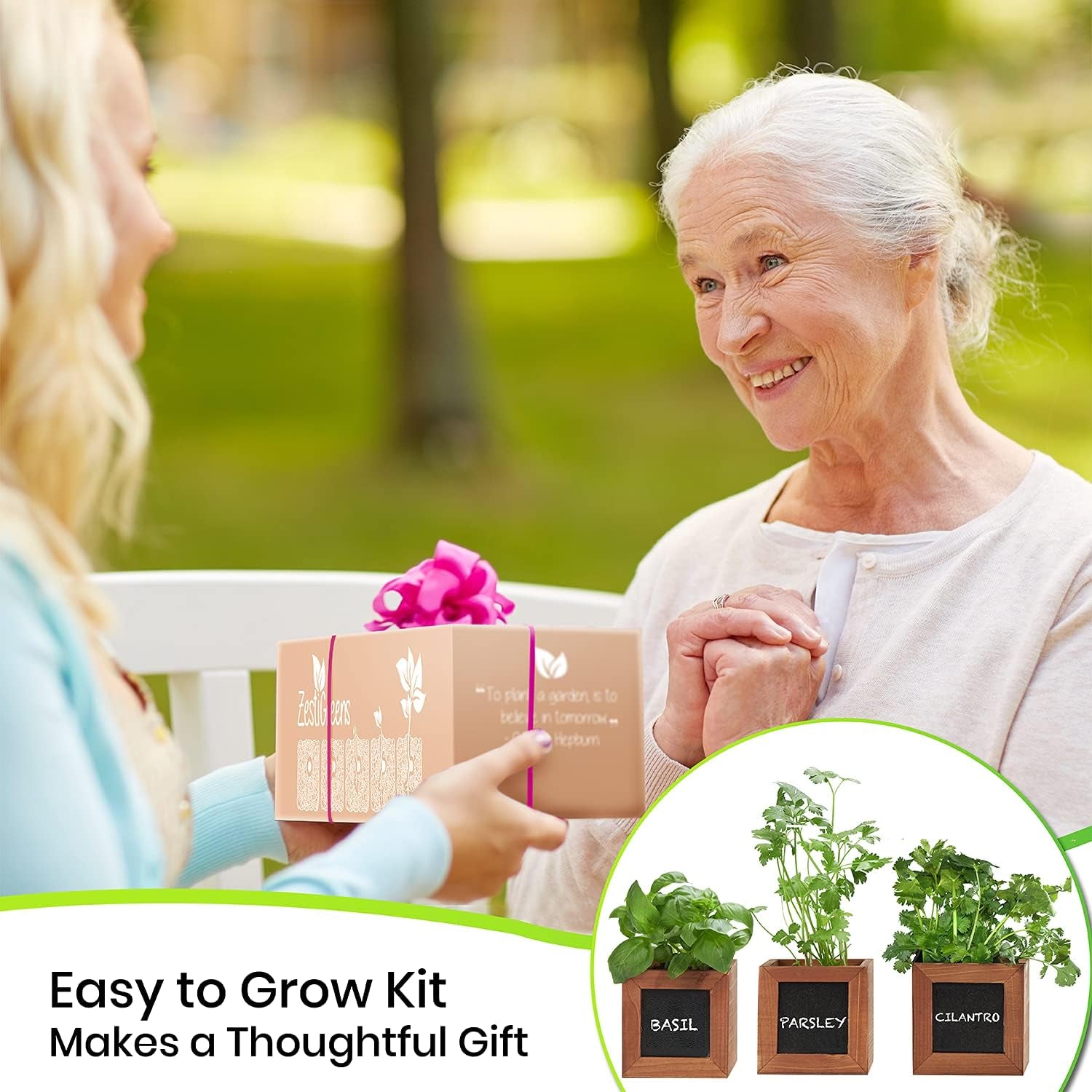 Garden Kit with Wooden Herb Planters