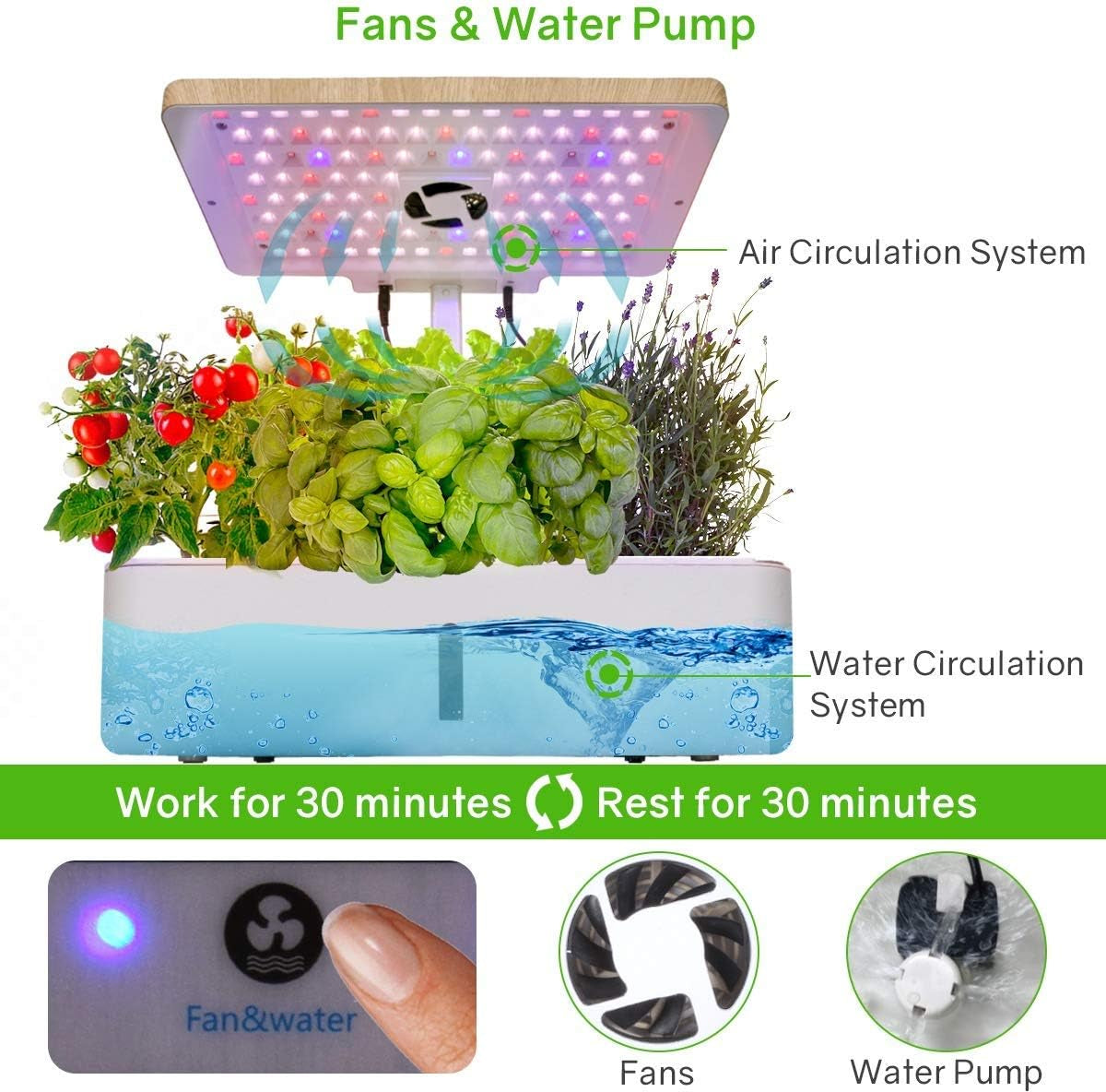 Hydroponics Growing System Kit