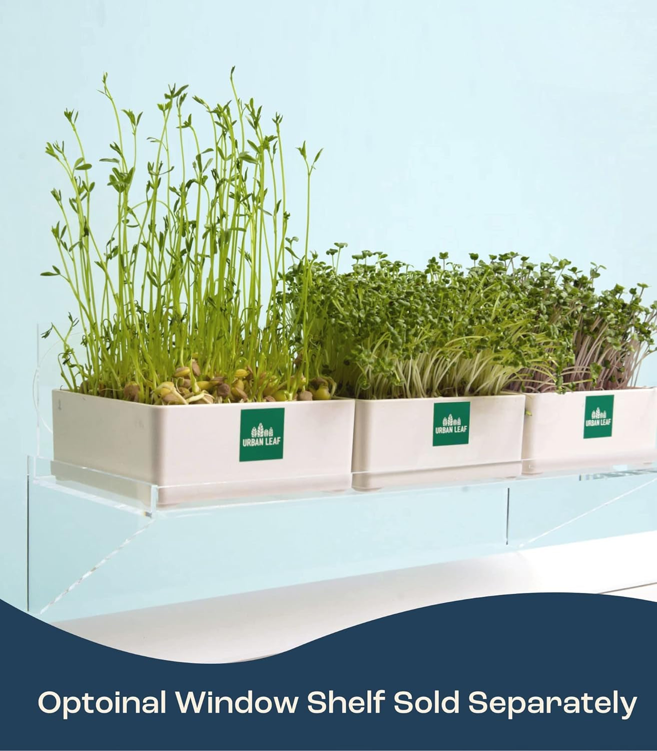 Indoor Microgreens Growing Kit