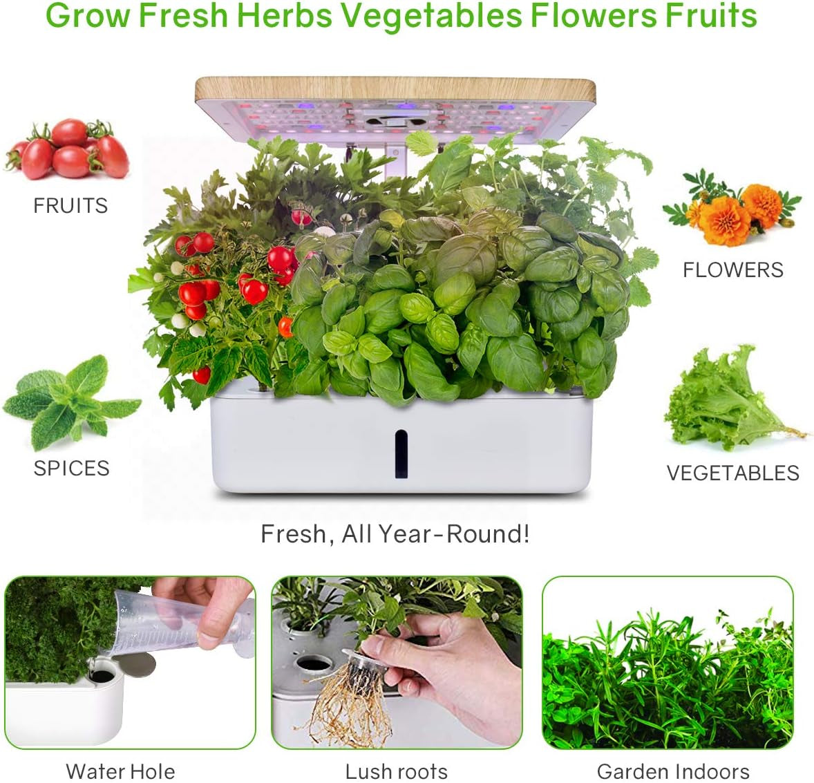Hydroponics Growing System Kit