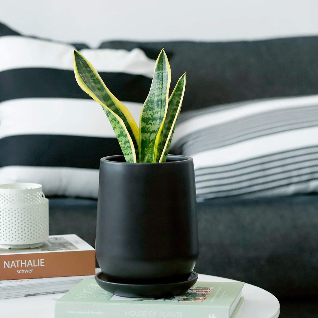 Black Planter Pots for Plants Indoor 