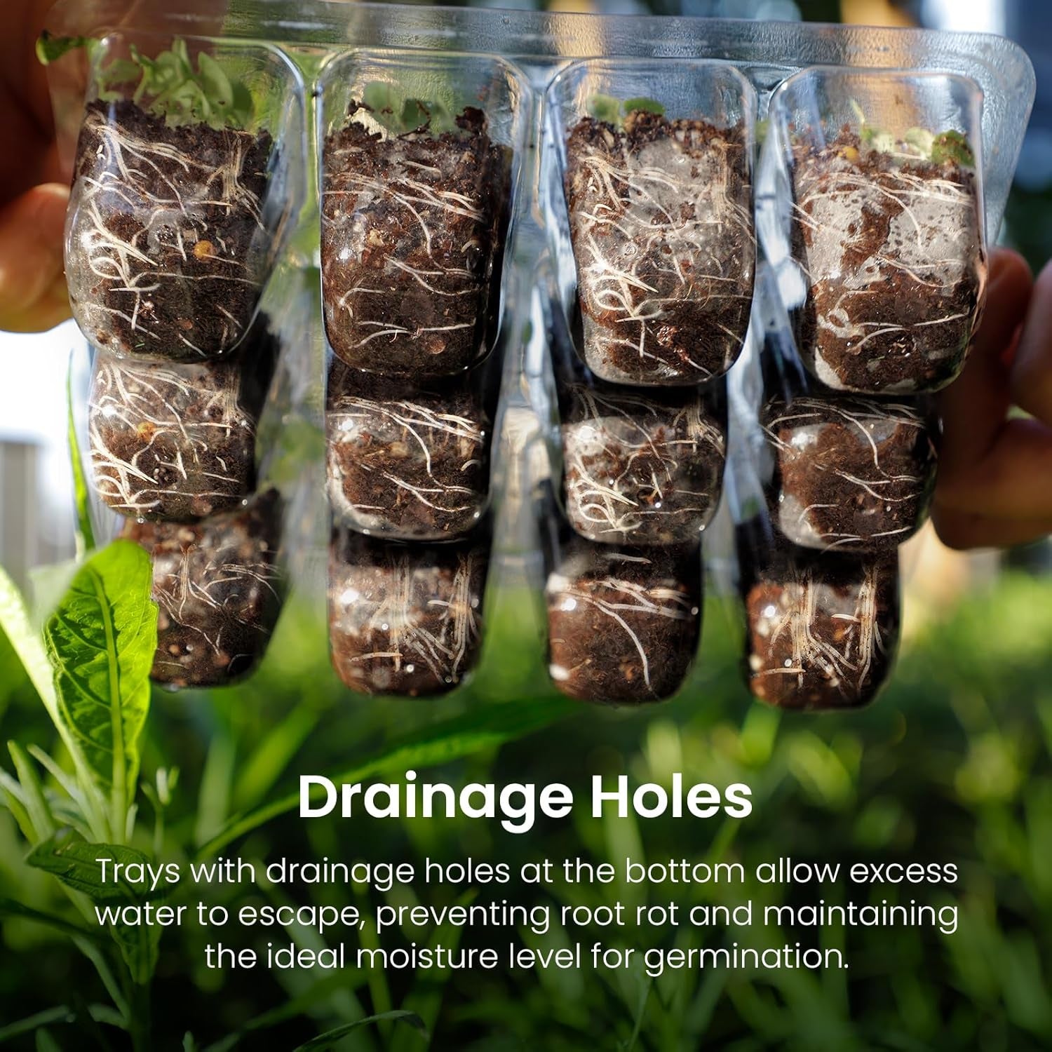 Seed Starter Kit with Grow Light