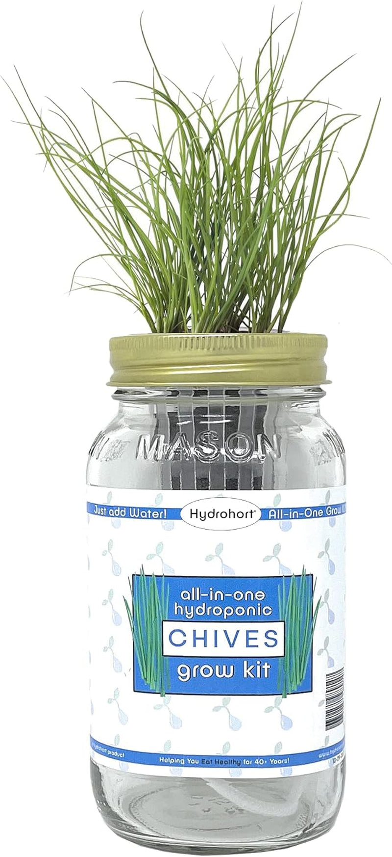 Chives Herb Growing Kit 
