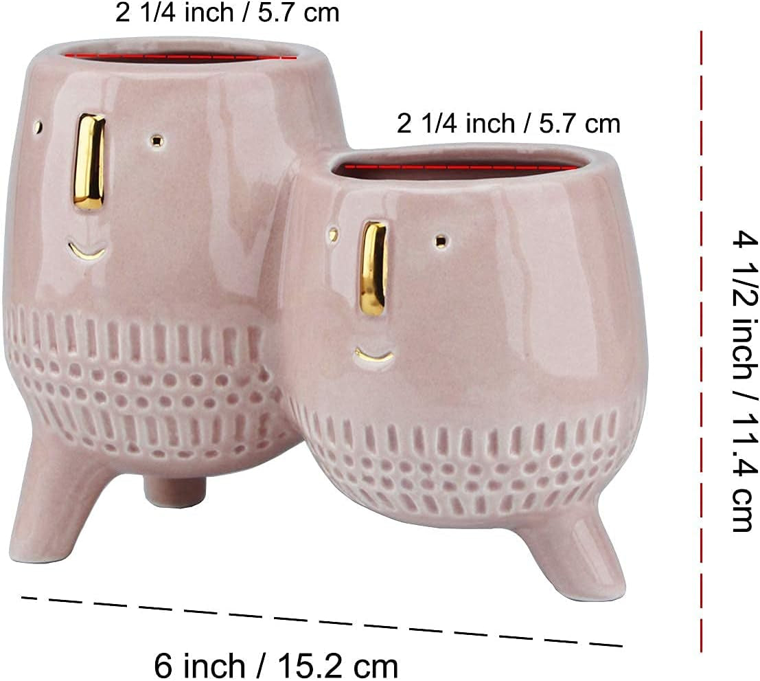 Ceramic Planter Pot 