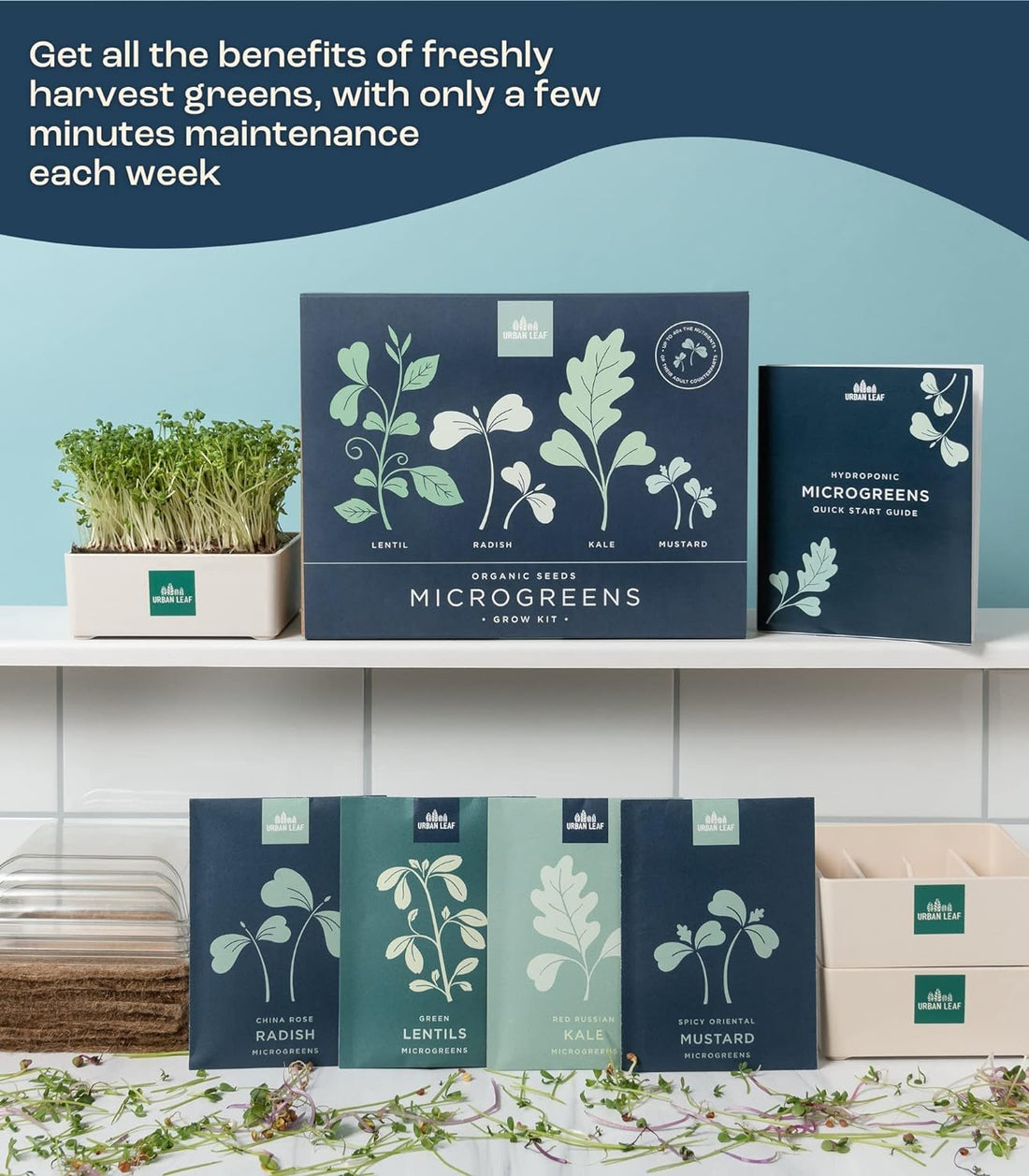 Indoor Microgreens Growing Kit