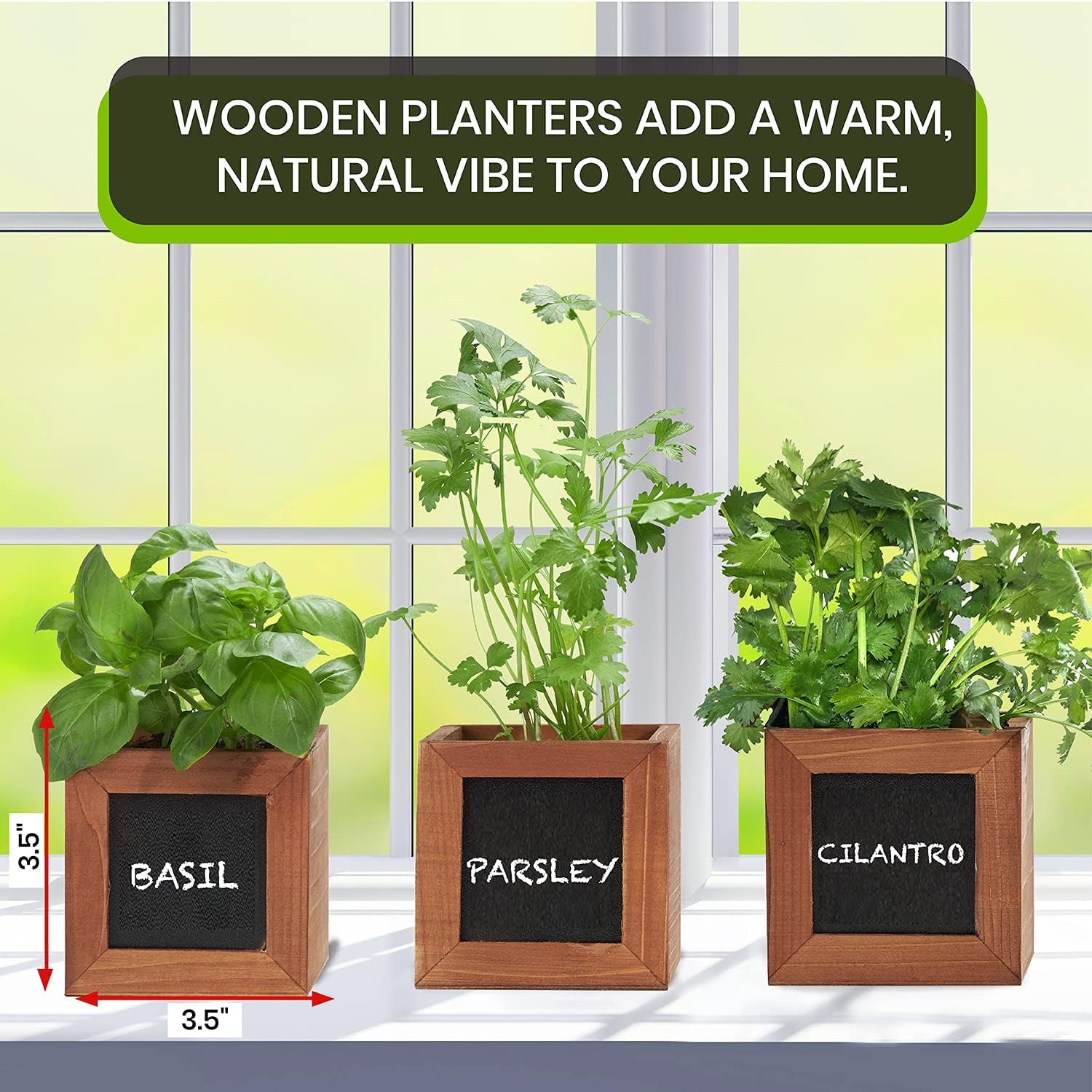 Garden Kit with Wooden Herb Planters