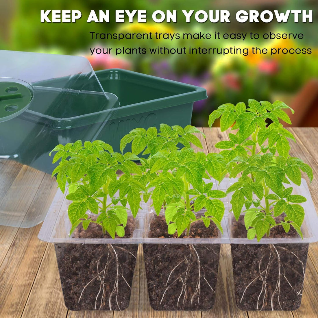 10 Packs Seed Starter Tray Seed Starter Kit