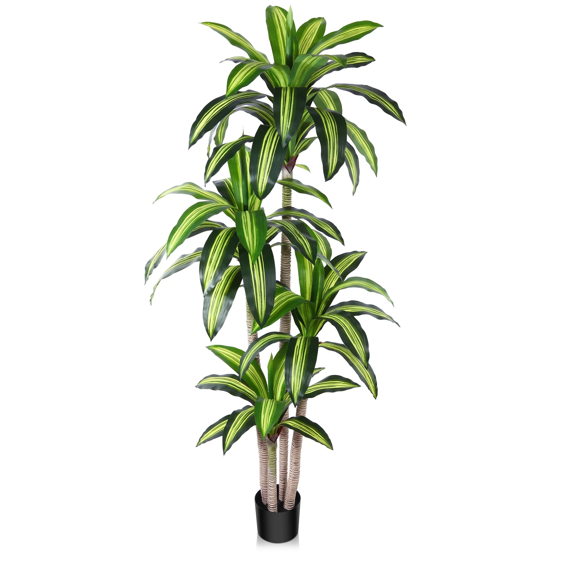 Fake Dracaena Tree in Black Plastic Pot