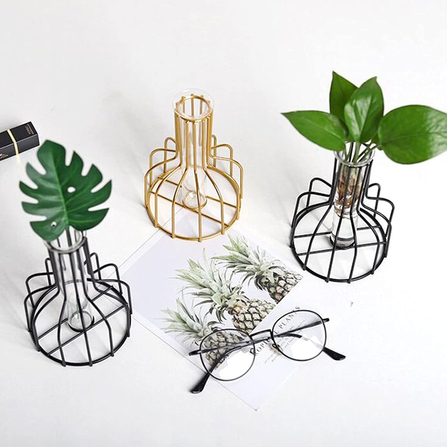 Flower Vases with Iron Art Frame