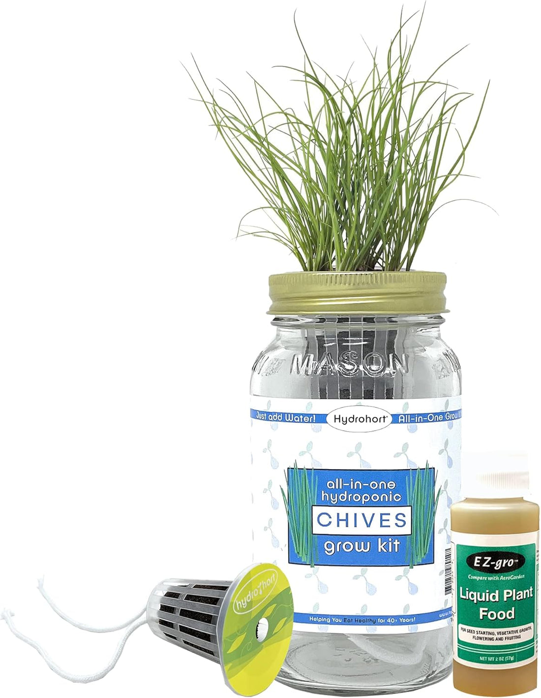 Chives Herb Growing Kit 