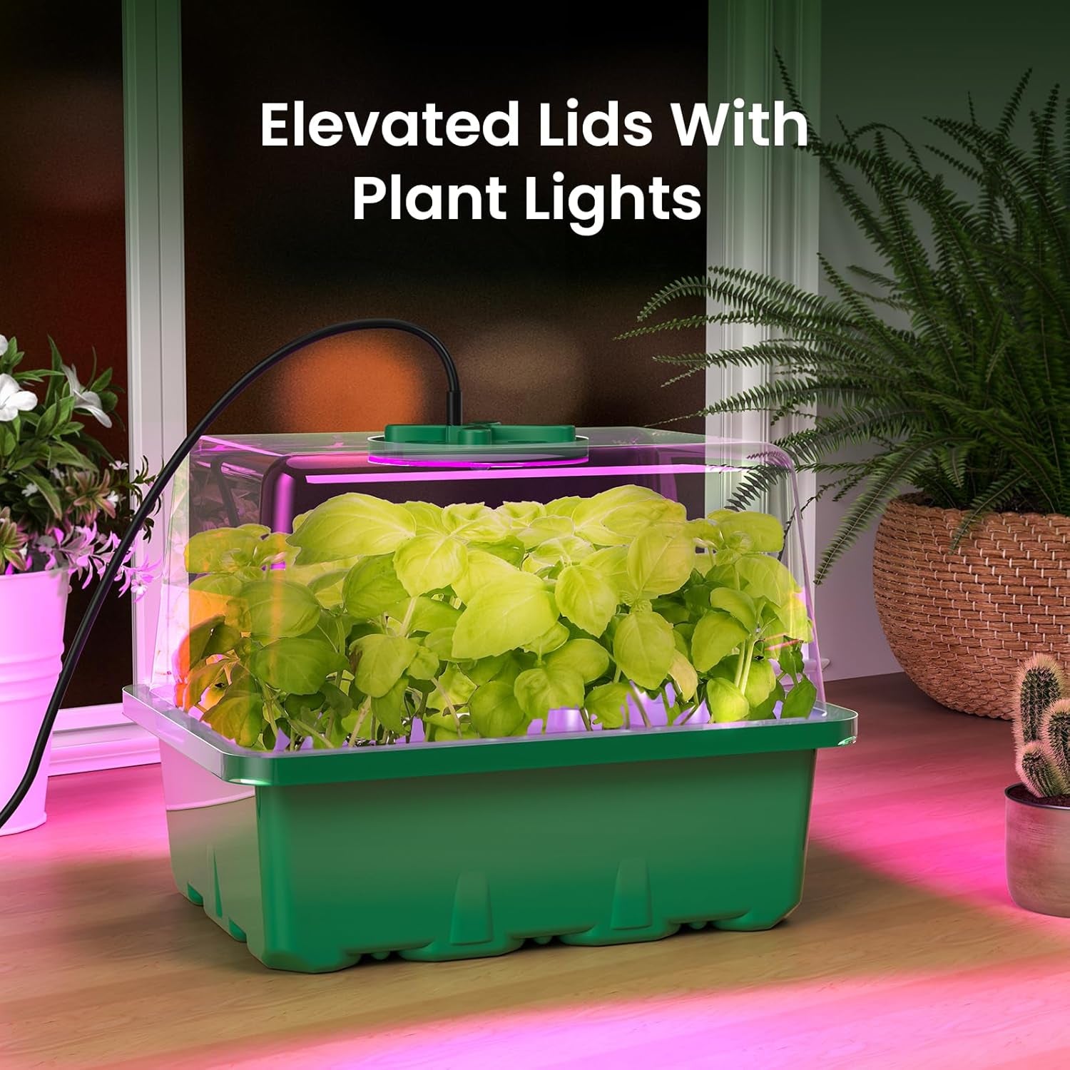 Seed Starter Kit with Grow Light