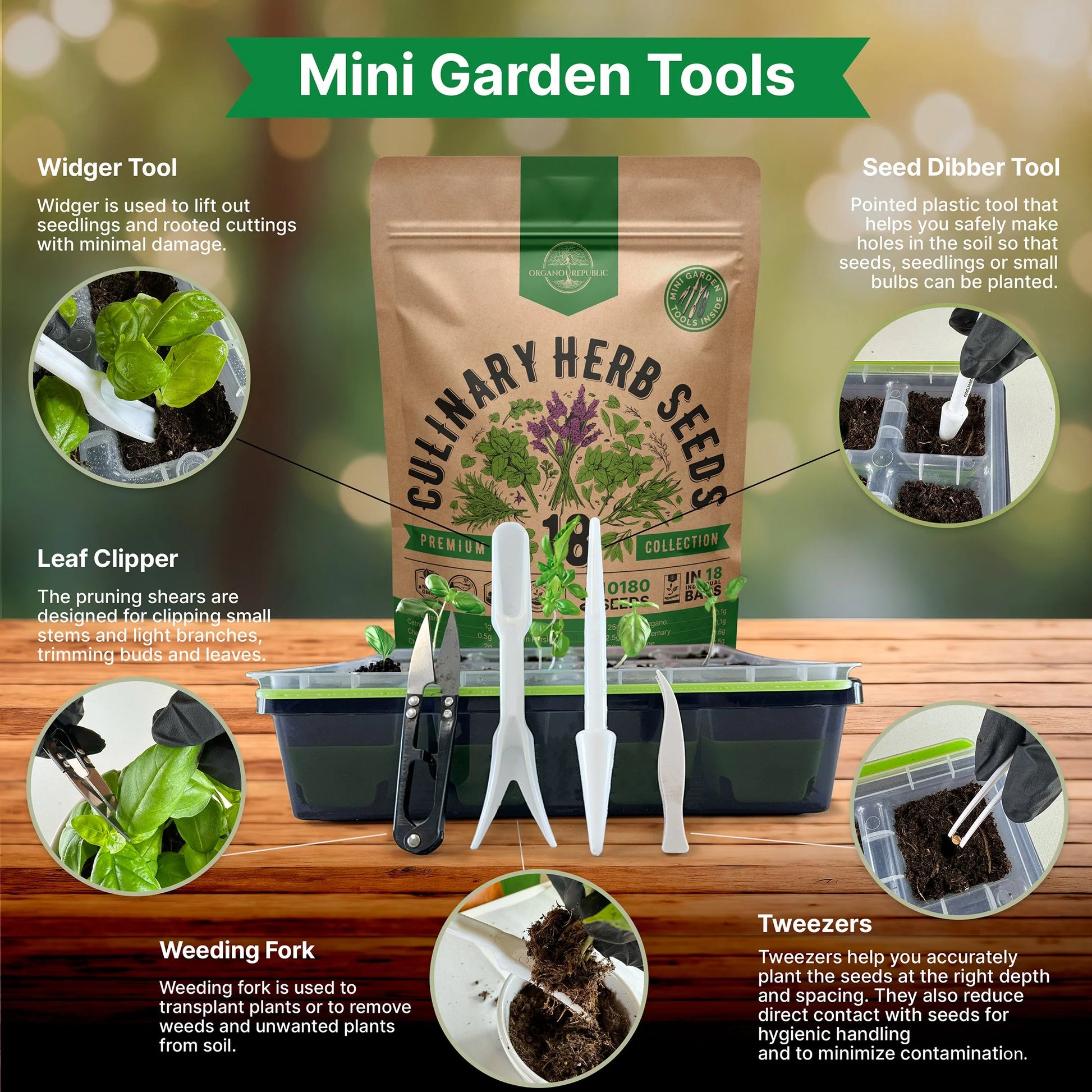 18 Culinary Herbs Seeds Variety Pack 