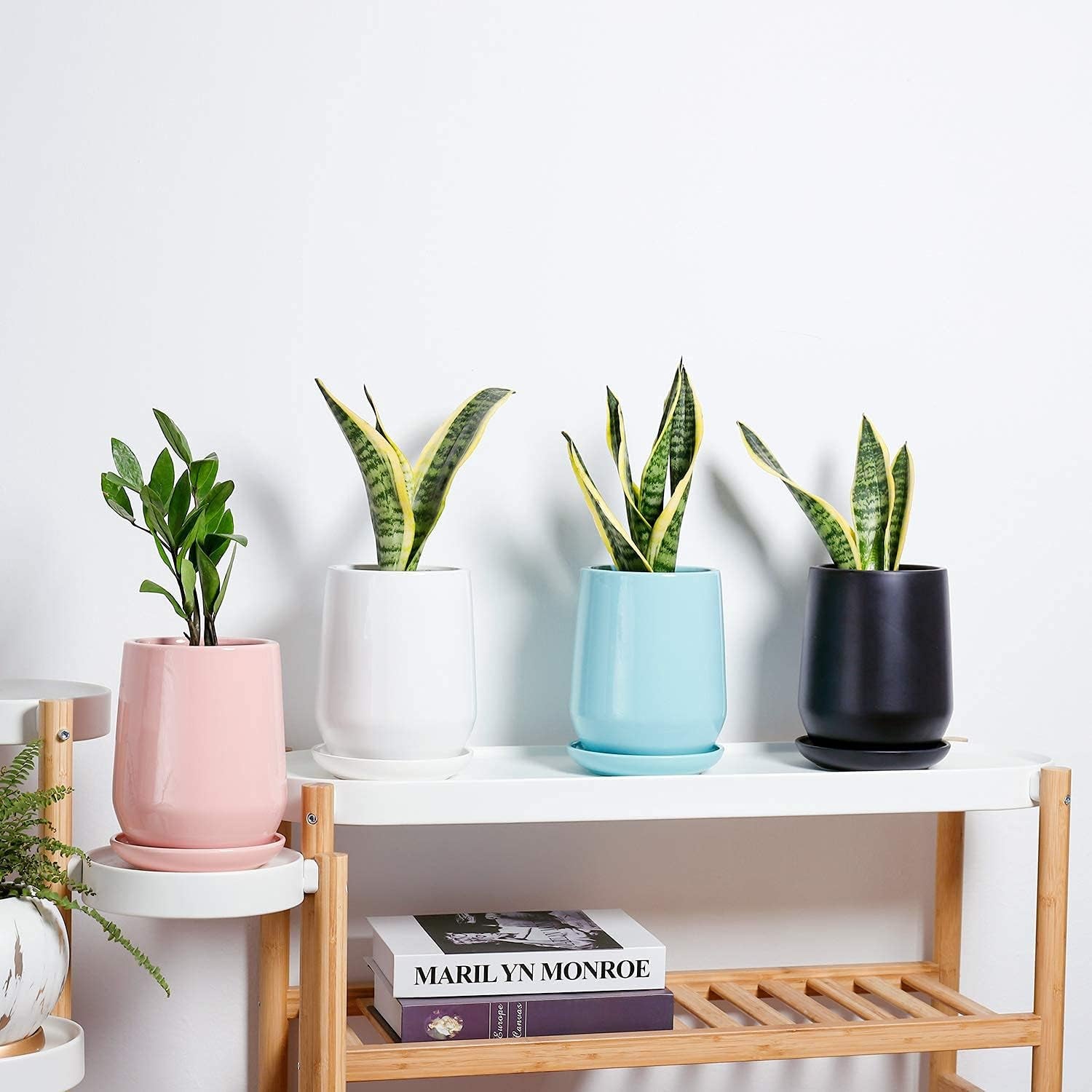 Black Planter Pots for Plants Indoor 
