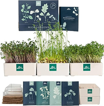 Indoor Microgreens Growing Kit