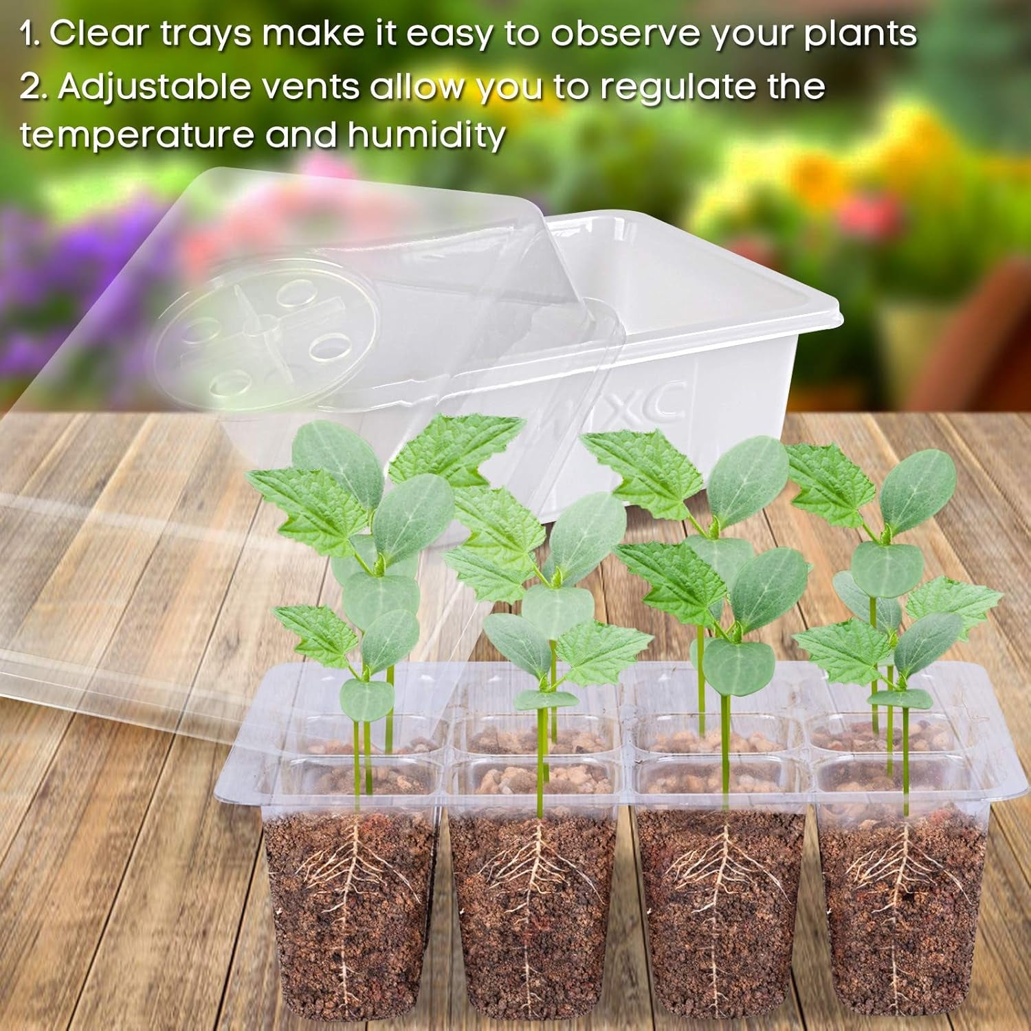 Seed Starter Kit with Humidity Dome - NexZello