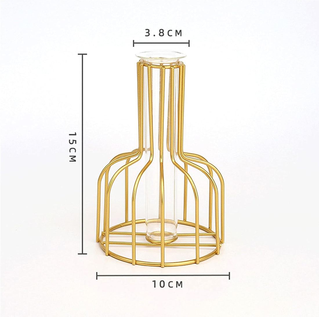 Flower Vases with Iron Art Frame