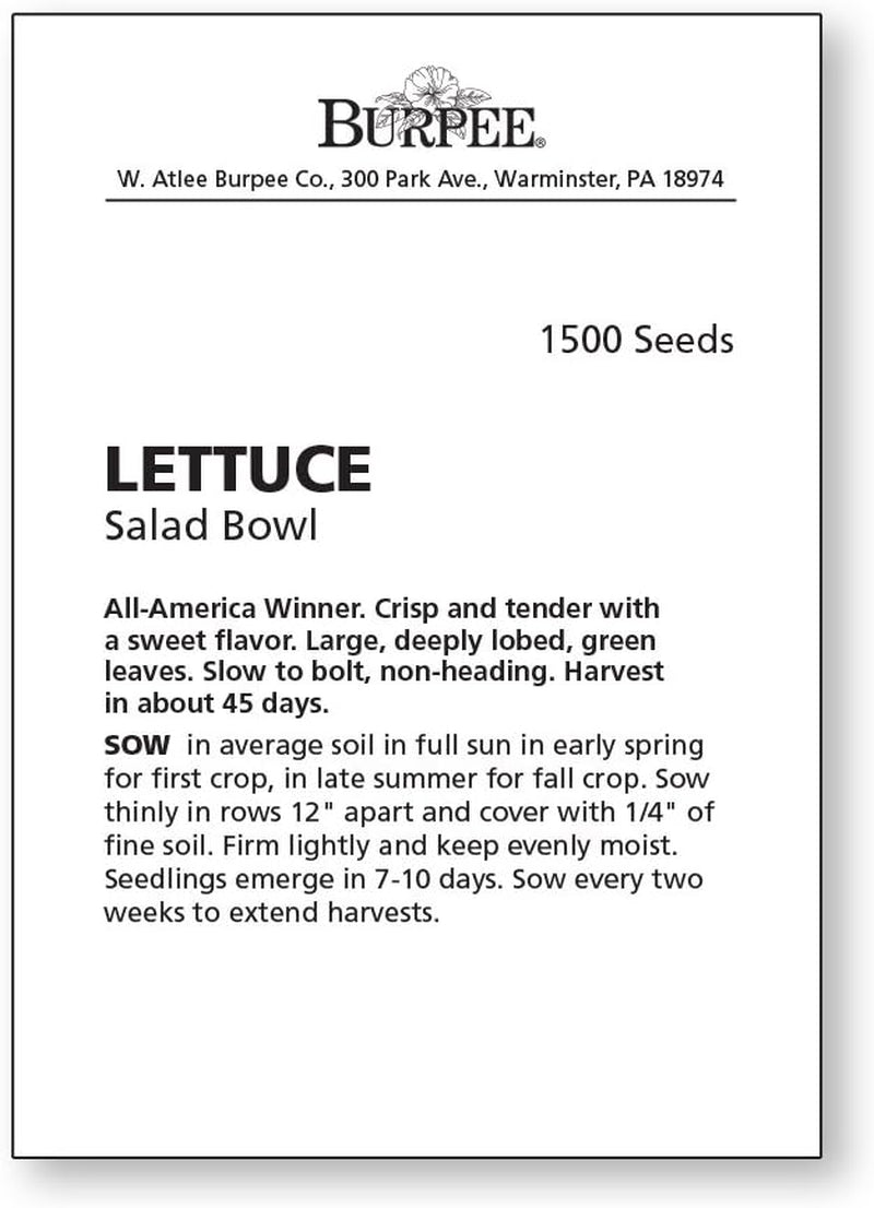 Salad Bowl Lettuce Seeds