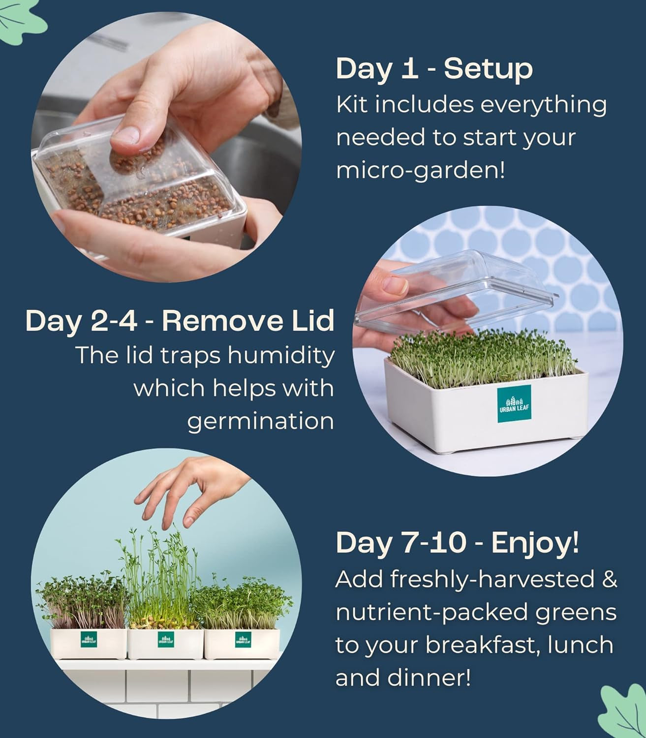 Indoor Microgreens Growing Kit