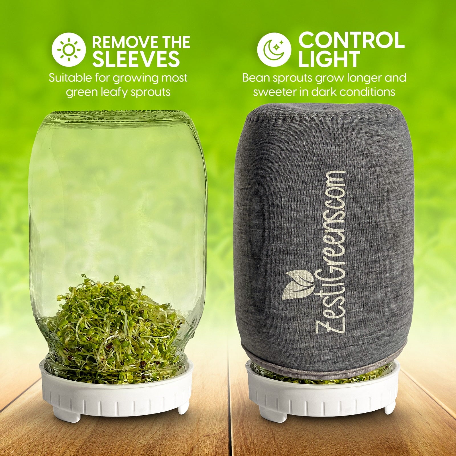 Growing Kit & Green Onion Regrower