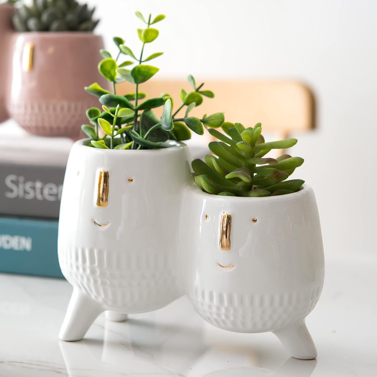 Ceramic Planter Pot 