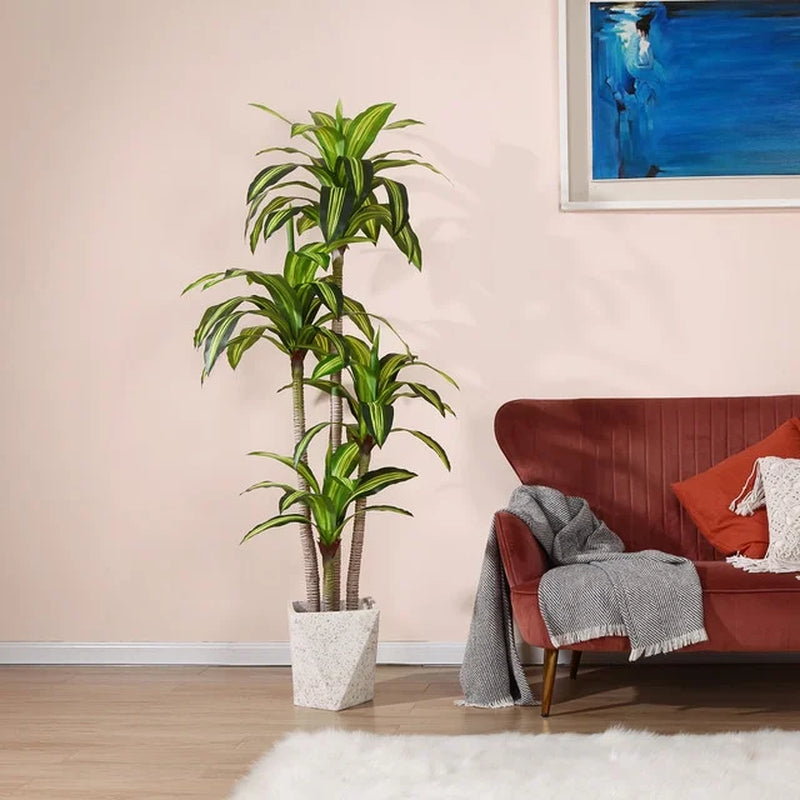 Fake Dracaena Tree in Black Plastic Pot
