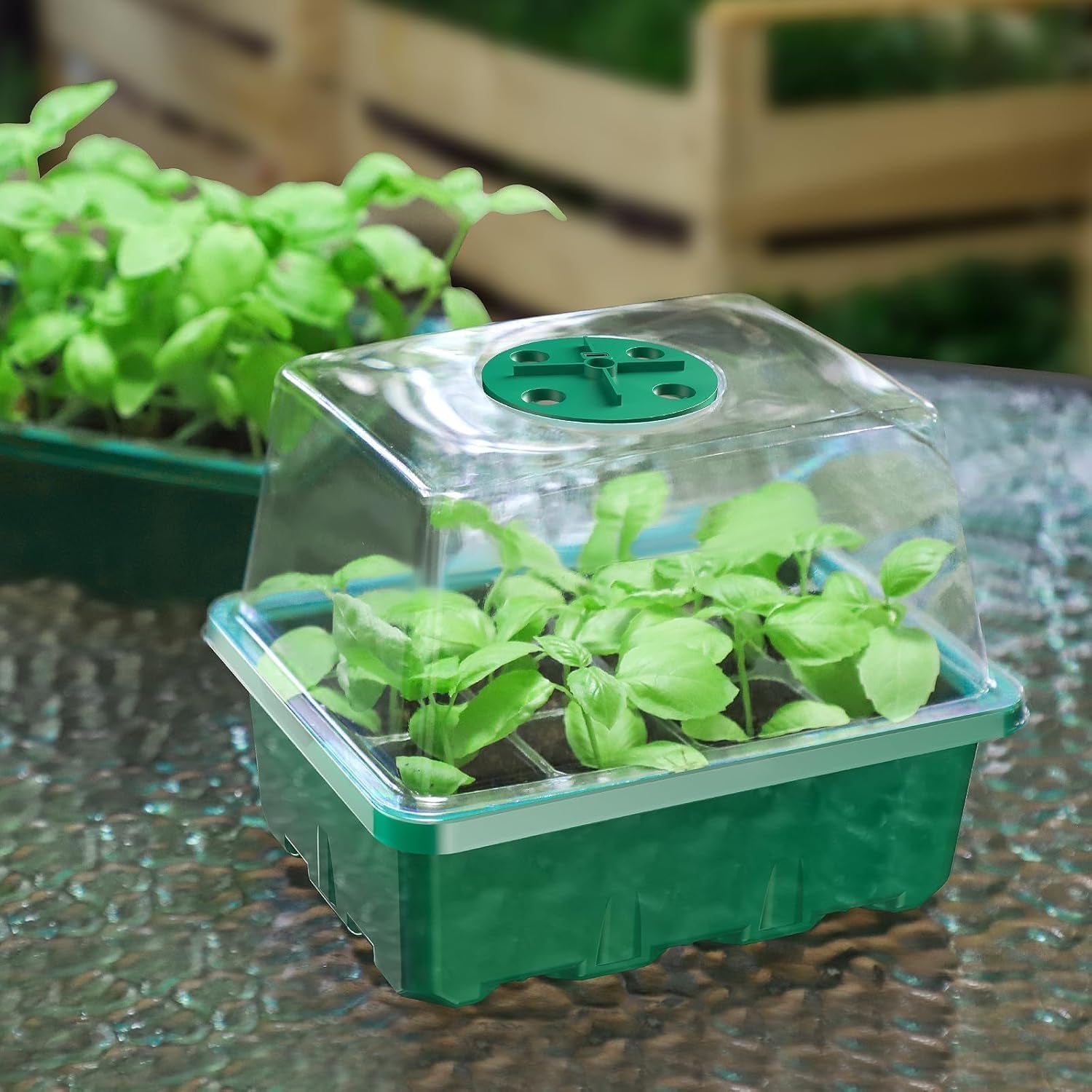 10 Packs Seed Starter Tray Seed Starter Kit