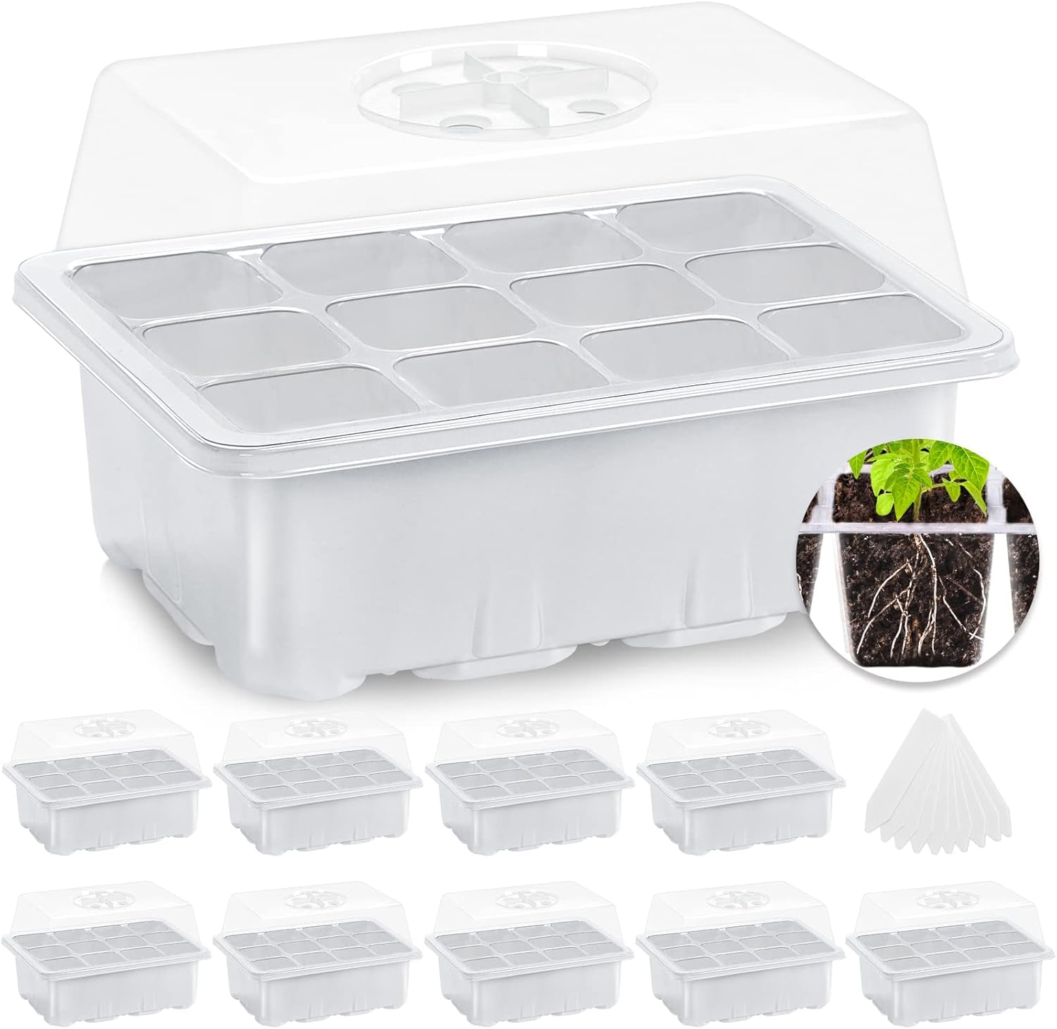 Seed Starter Kit with Humidity Dome - NexZello