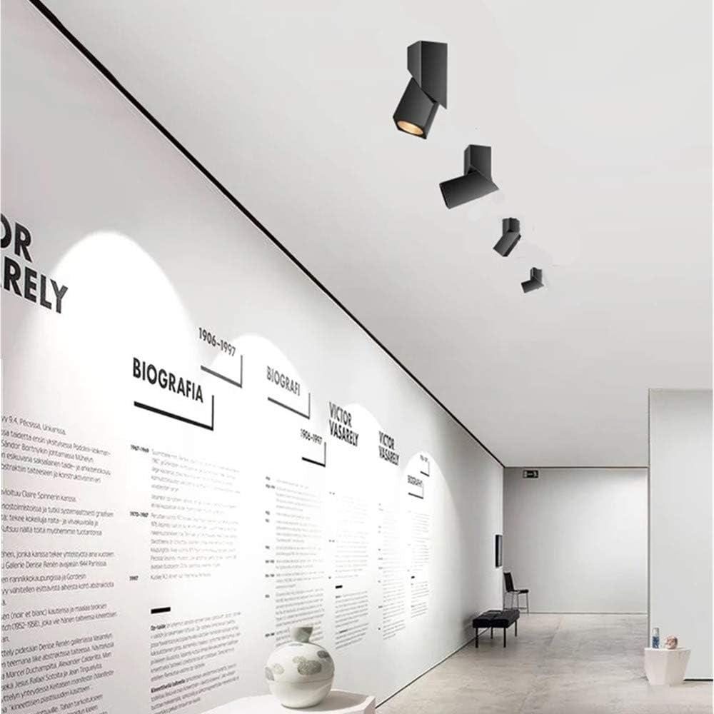 LED Indoor Ceiling Spotlight 