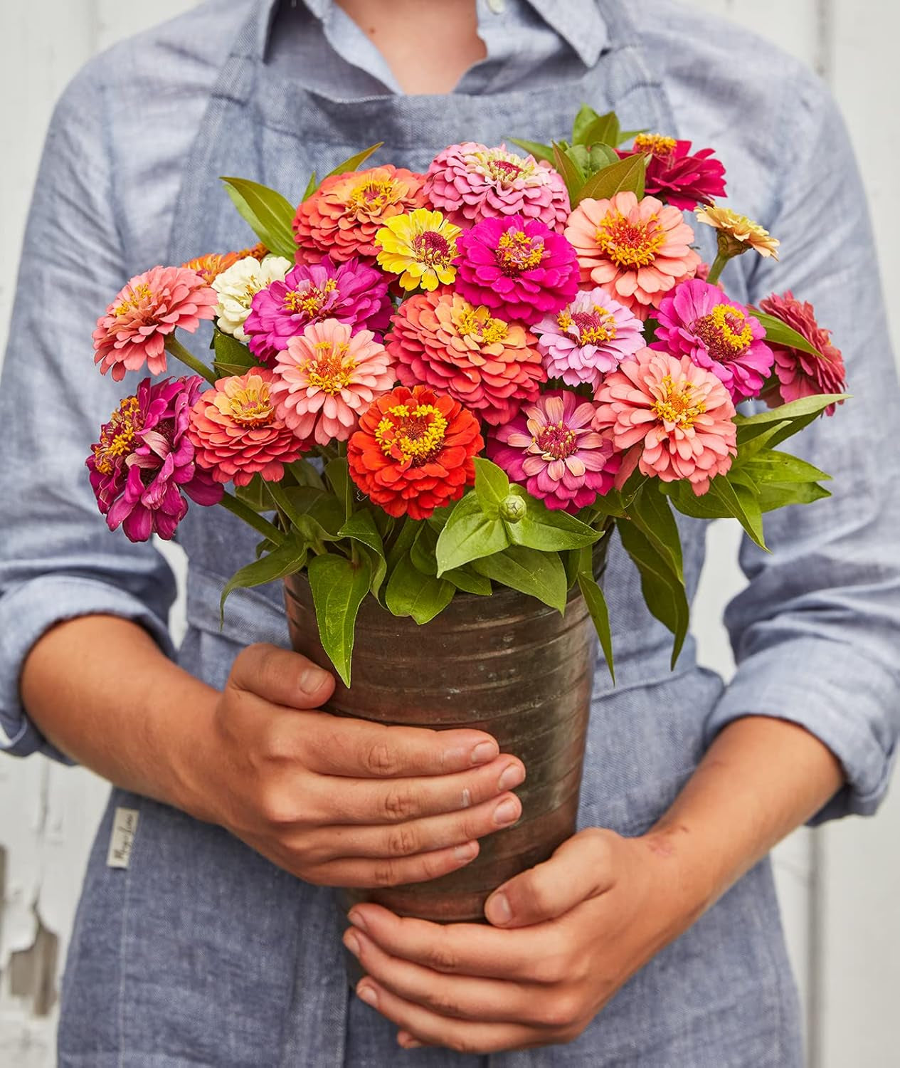 Cut & Come Again Zinnia Seeds